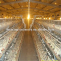 Uganda layer farm automatique utilisé à la cage de poulet